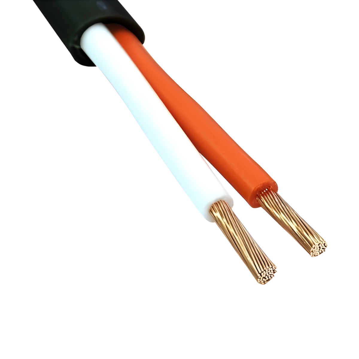 Dây Loa 2 lõi CANARE 2S7F