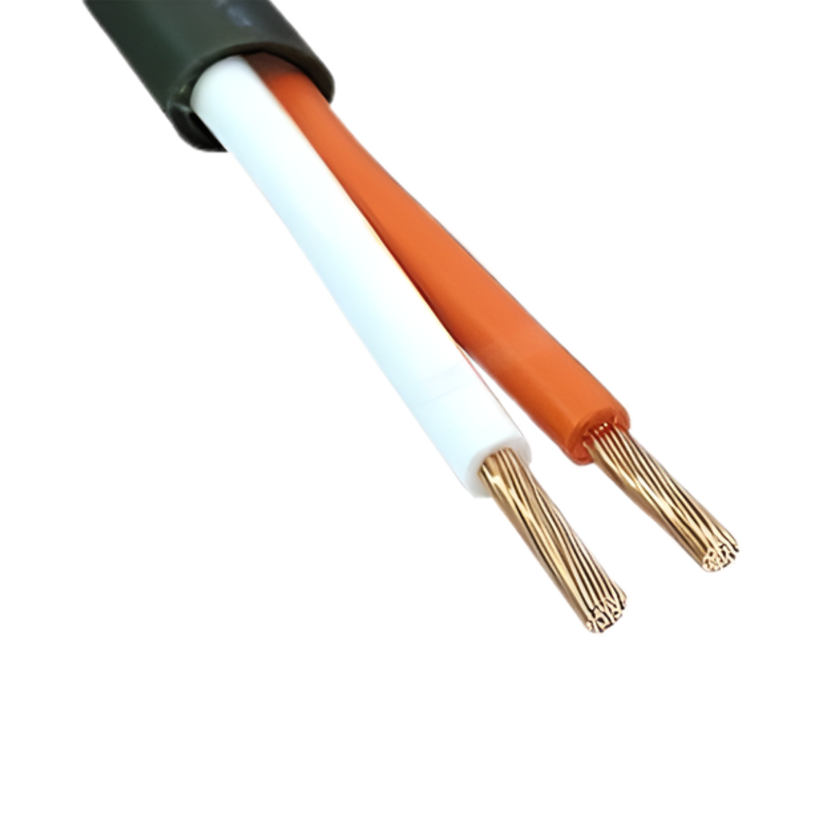 Dây Loa 2 lõi CANARE 2S9F