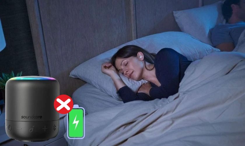 D&acirc;y sạc loa bluetooth