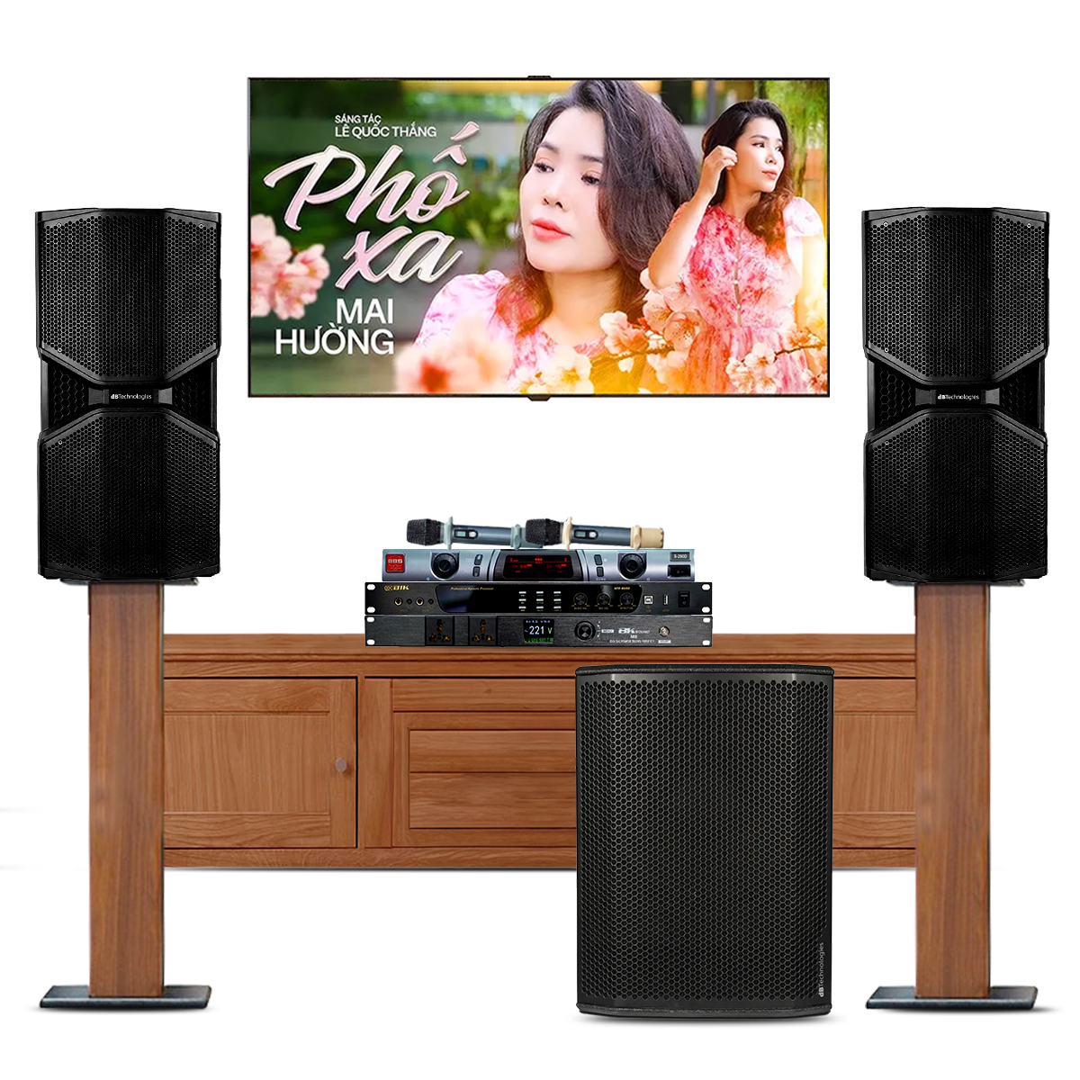 Dàn karaoke gia đình cao cấp dBTechnologies 01