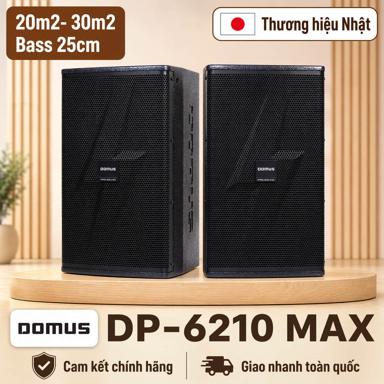 Loa Karaoke Domus DP-6210 MAX (Full Bass 25cm)