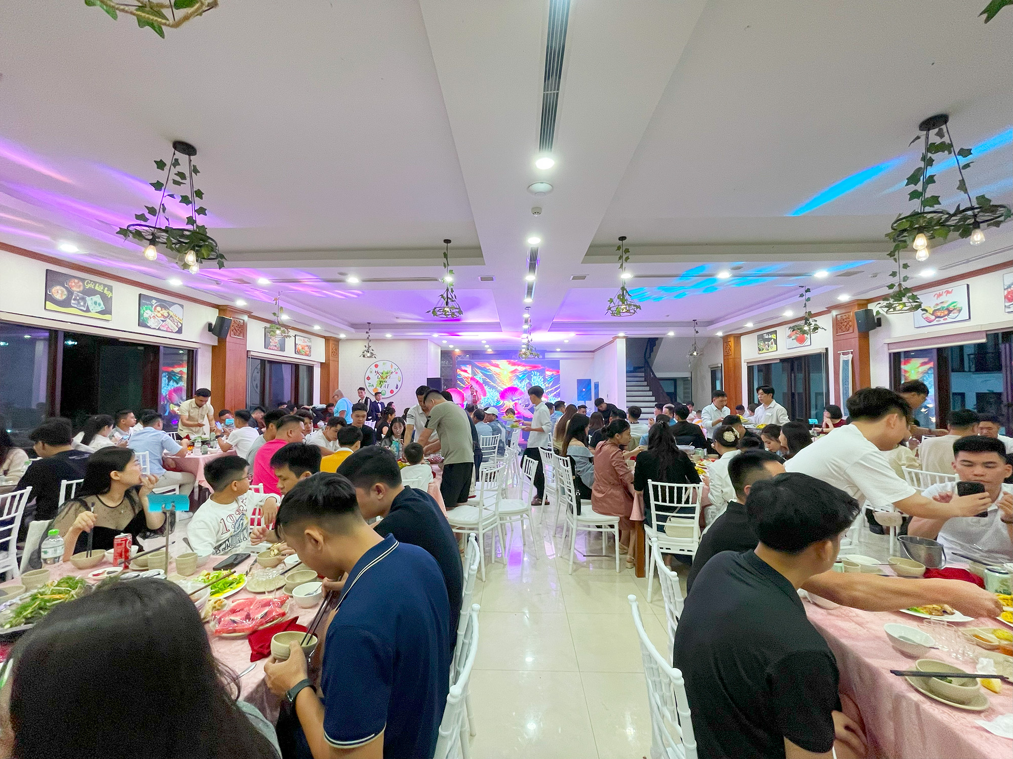 Bảo Ch&acirc;u Elec chinh phục đỉnh Fansipan - H&agrave;nh tr&igrave;nh gắn kết v&agrave; bứt ph&aacute;
