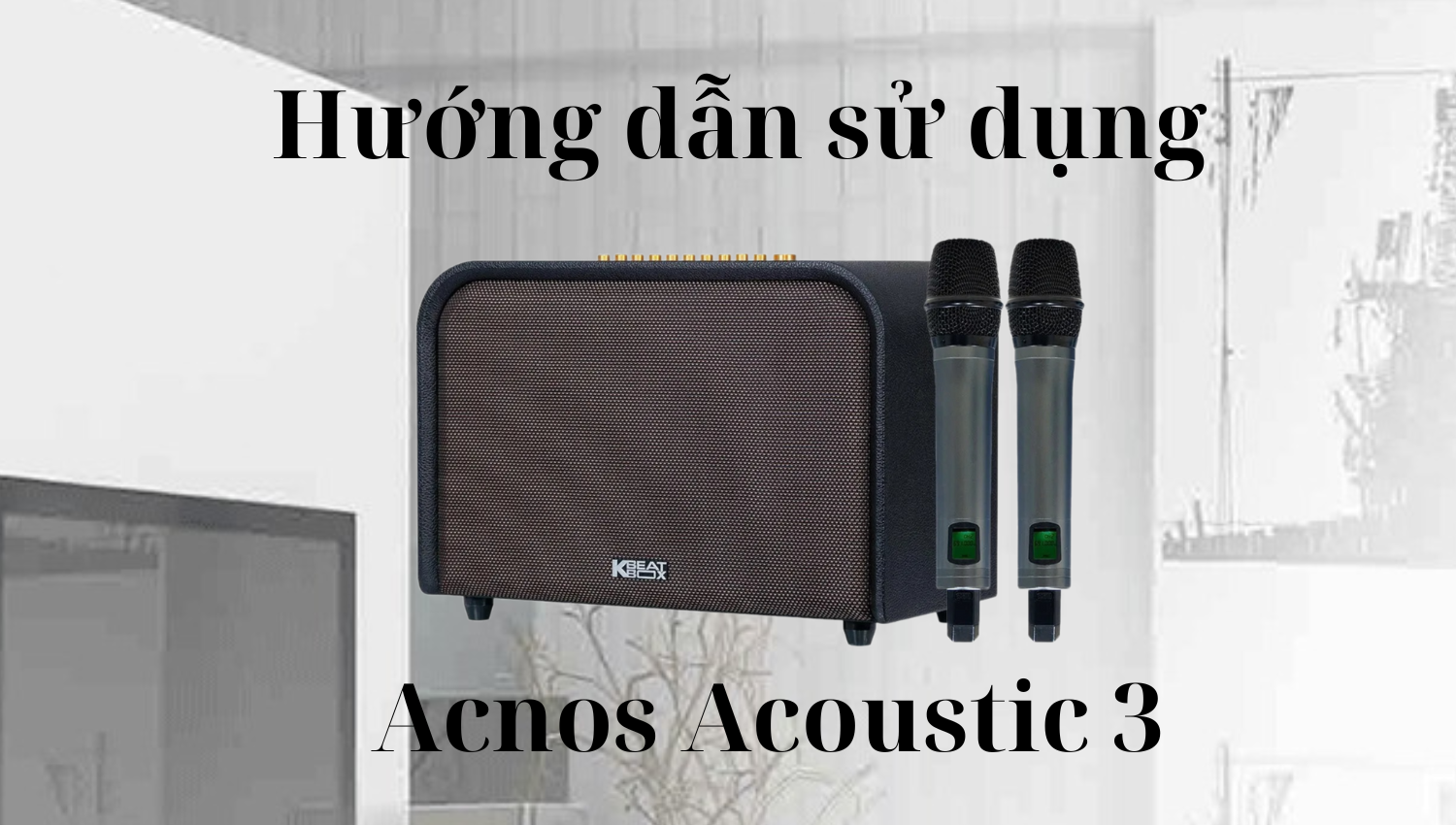 Hướng dẫn sử dụng Loa Acnos Acoustic 3