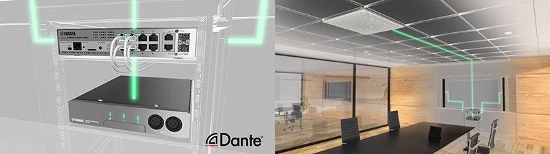 Dante l&agrave; g&igrave;? T&igrave;m hiểu c&aacute;ch hoạt động v&agrave; ứng dụng của Dante 