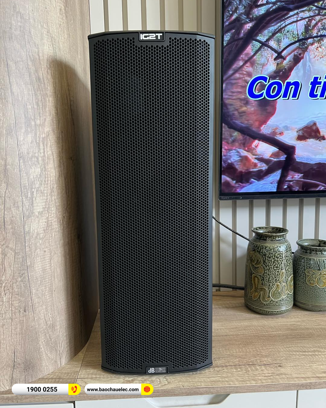 Lắp đặt d&agrave;n karaoke dBTechnologies cho anh T&uacute; tại Thủ Đức