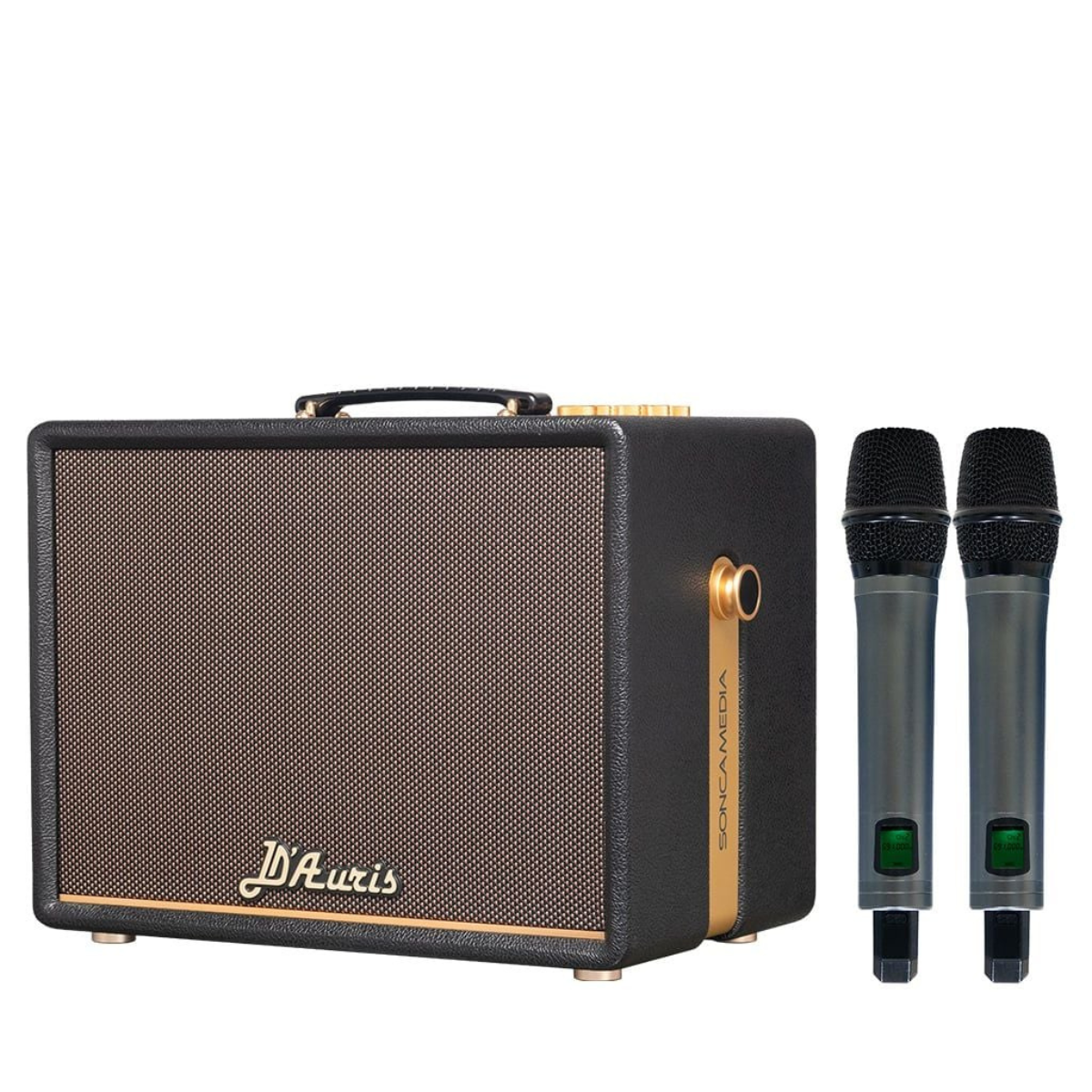 Loa Acnos D Auris 200 (Bass 25cm, 150W RMS, Kèm 2 micro) - Hình 1