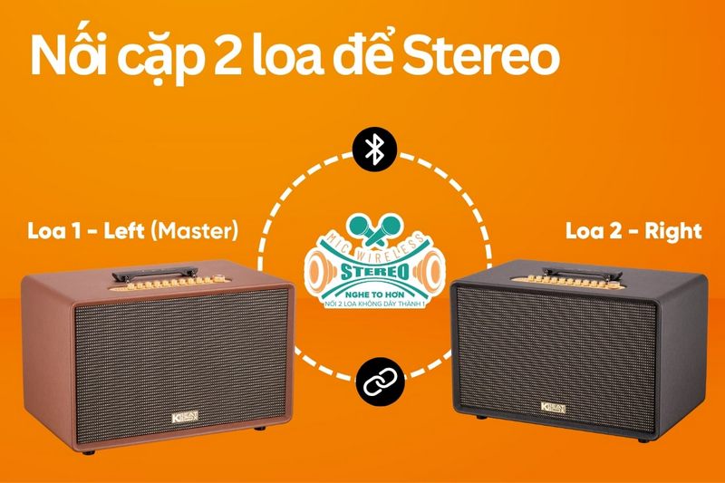 Loa Acnos FLAC 39
