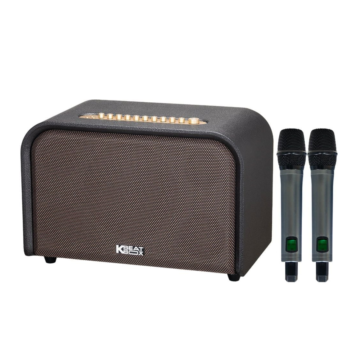 Loa Acnos Acoustic 3 Compact