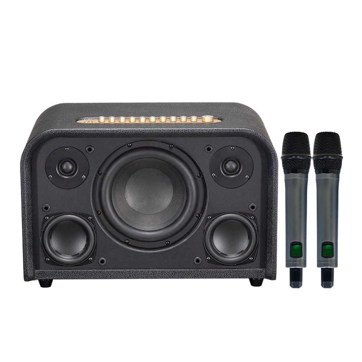 Loa Acnos Acoustic 3 Compact