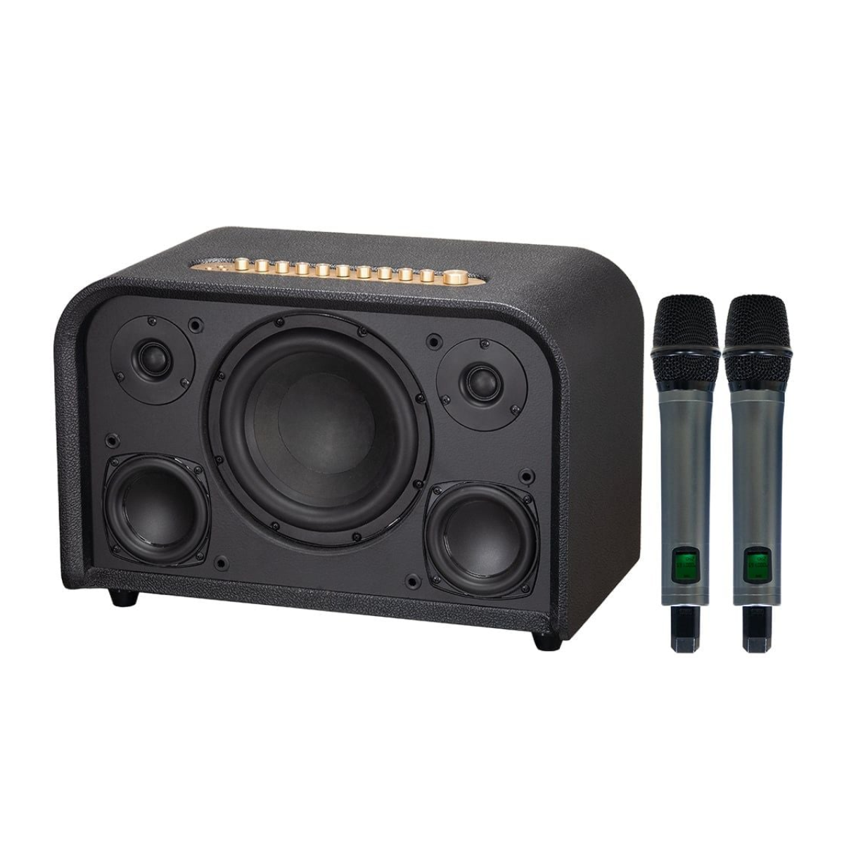 Loa Acnos Acoustic 3 Compact