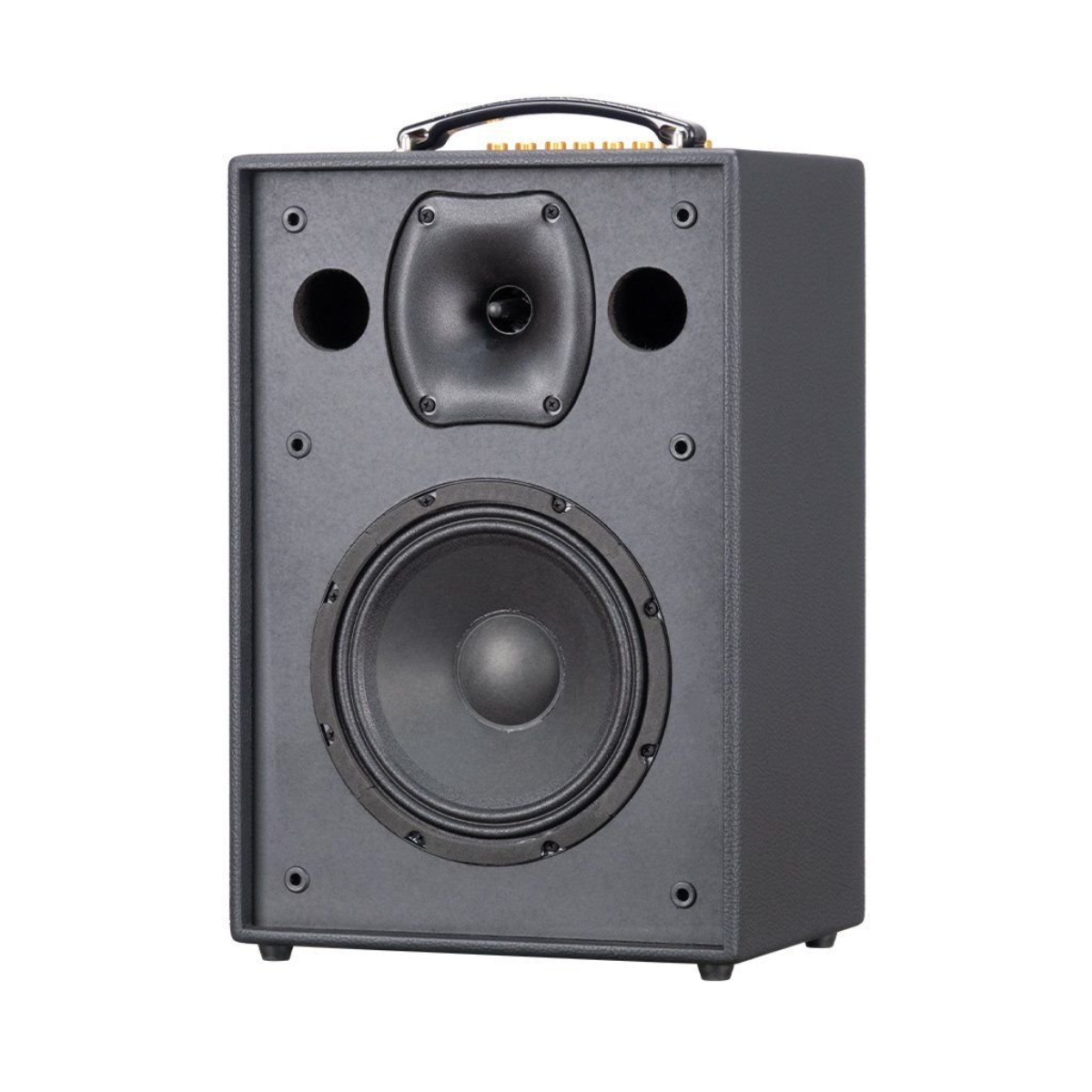 Loa Xách Tay Acnos CS286 Plus