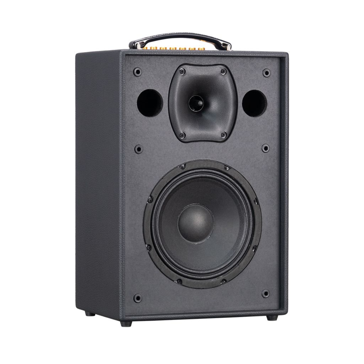 Loa Xách Tay Acnos CS286 Plus