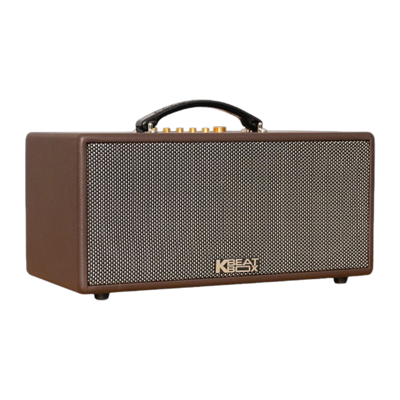 Loa xách tay Acnos CS366 Plus