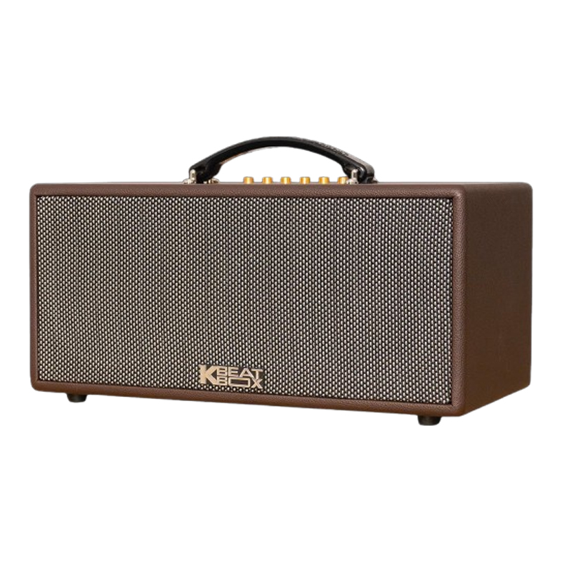 Loa xách tay Acnos CS366 Plus