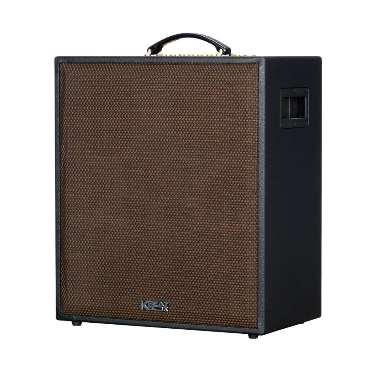 Loa karaoke di động Acnos CS550 Gen 2