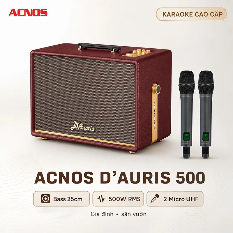 Loa Acnos D’Auris 500 (Bass 25cm, 500W/2000W, Bluetooth 5.0, Kèm 2 micro)