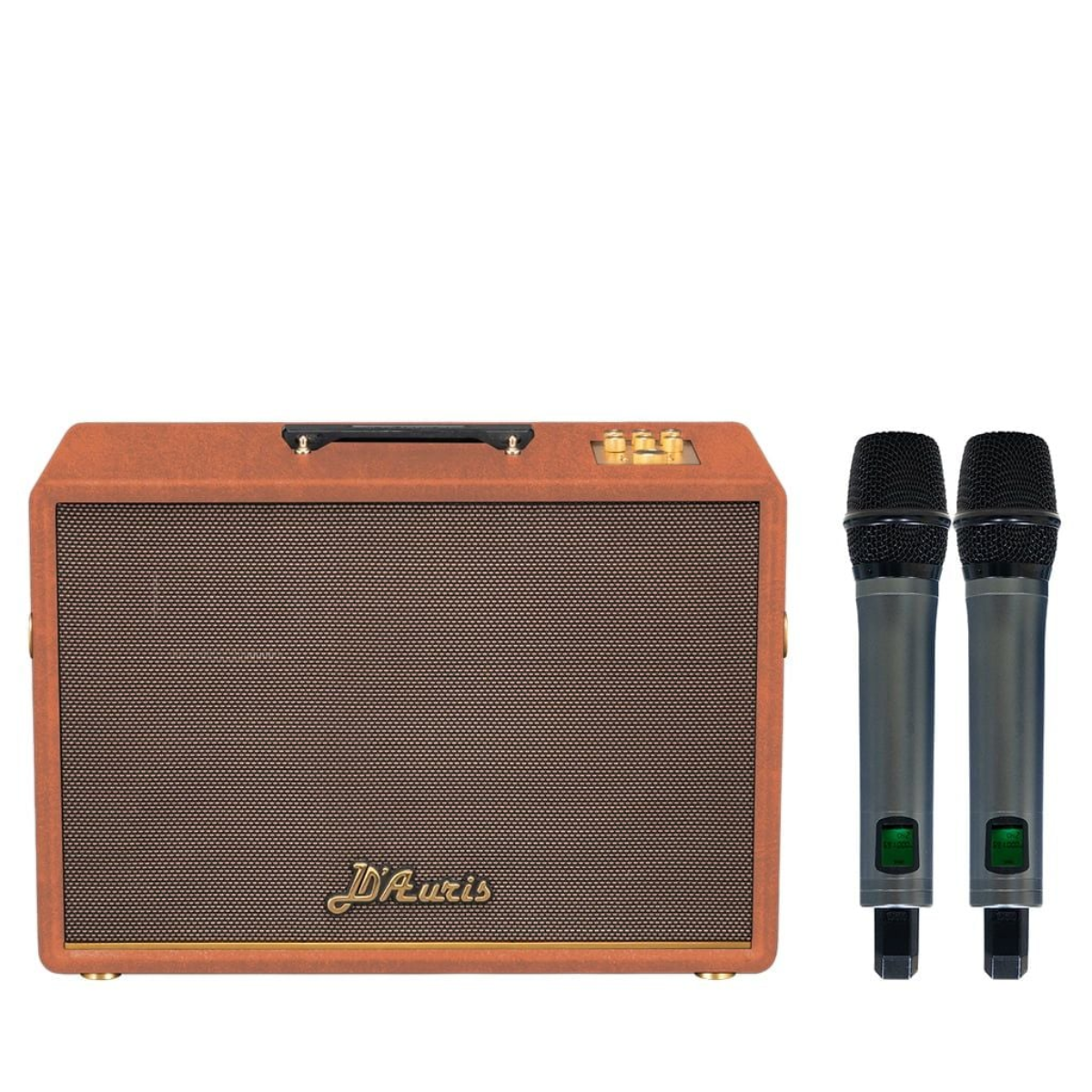 Loa Acnos D’Auris 500