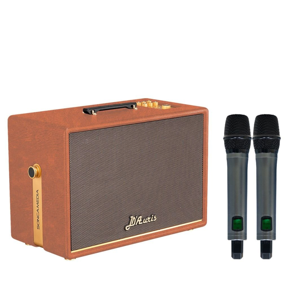 Loa Acnos D’Auris 500