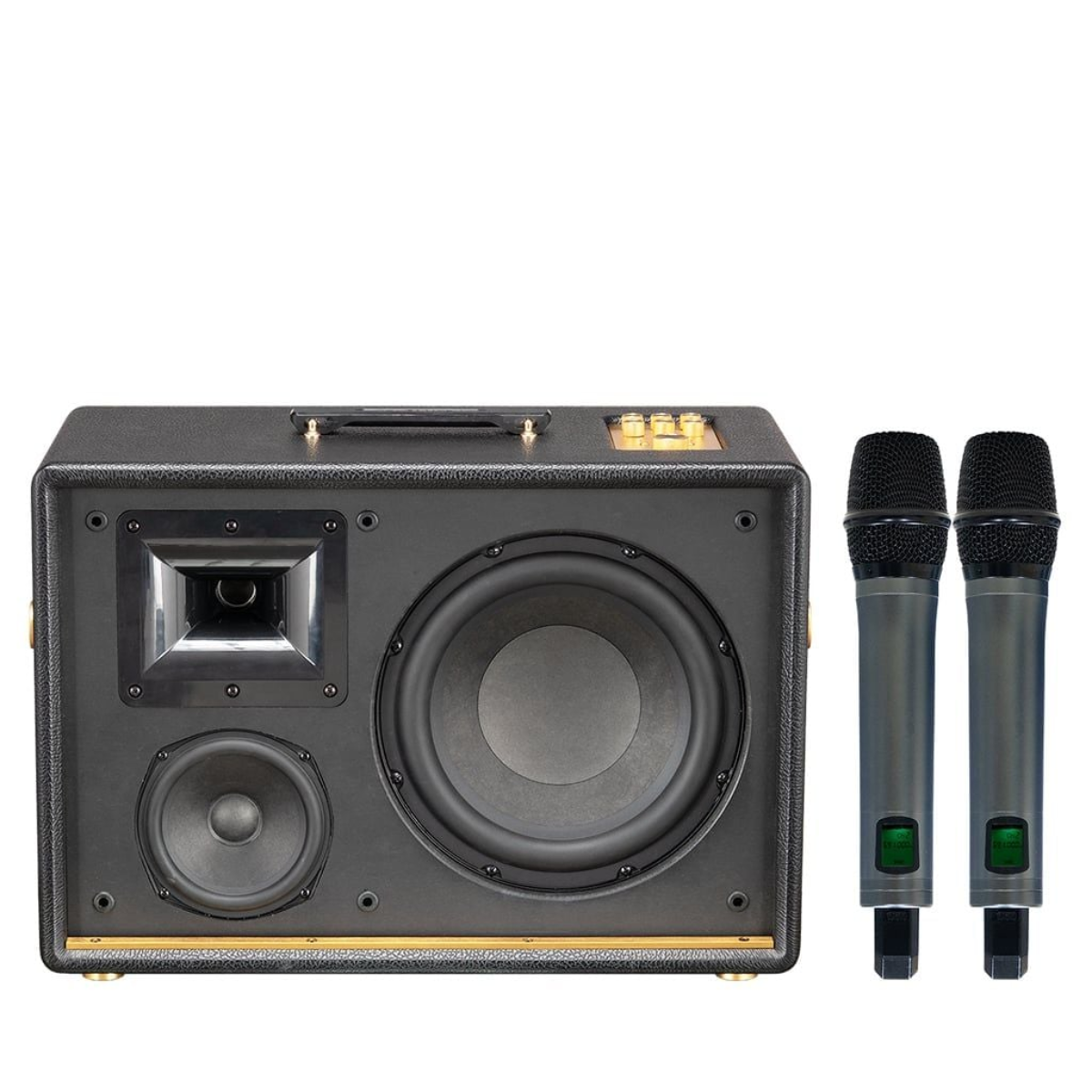 Loa Acnos D’Auris 500