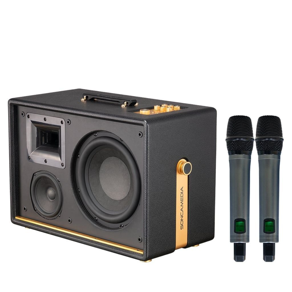 Loa Acnos D’Auris 500