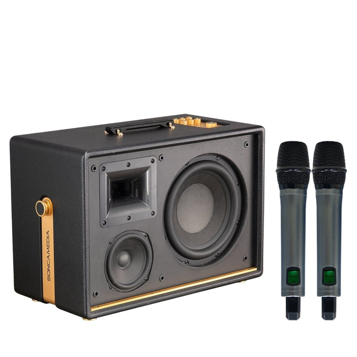Loa Acnos D’Auris 500 (Bass 25cm, 500W/2000W, Bluetooth 5.0, Kèm 2 micro) - Hình 3