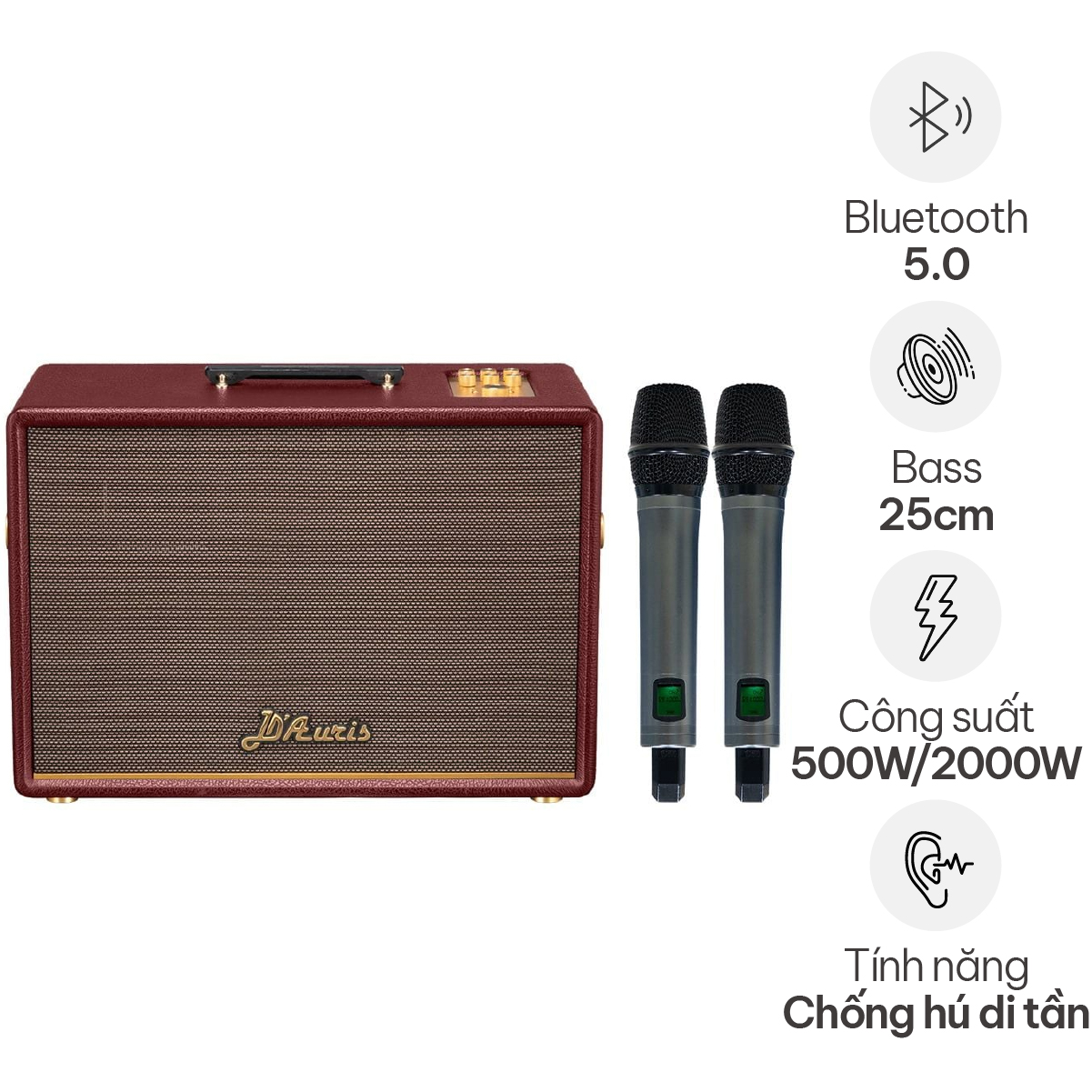 Loa Acnos D’Auris 500