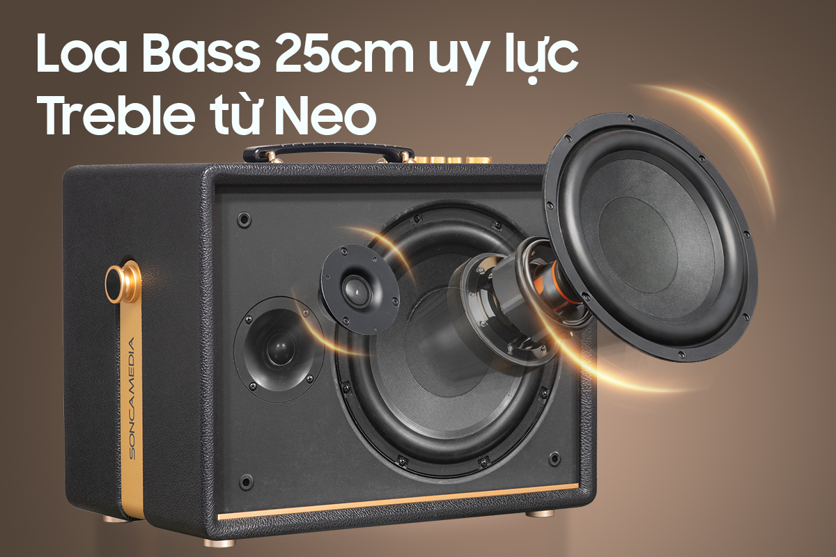 Loa k&eacute;o Acnos D Auris 200