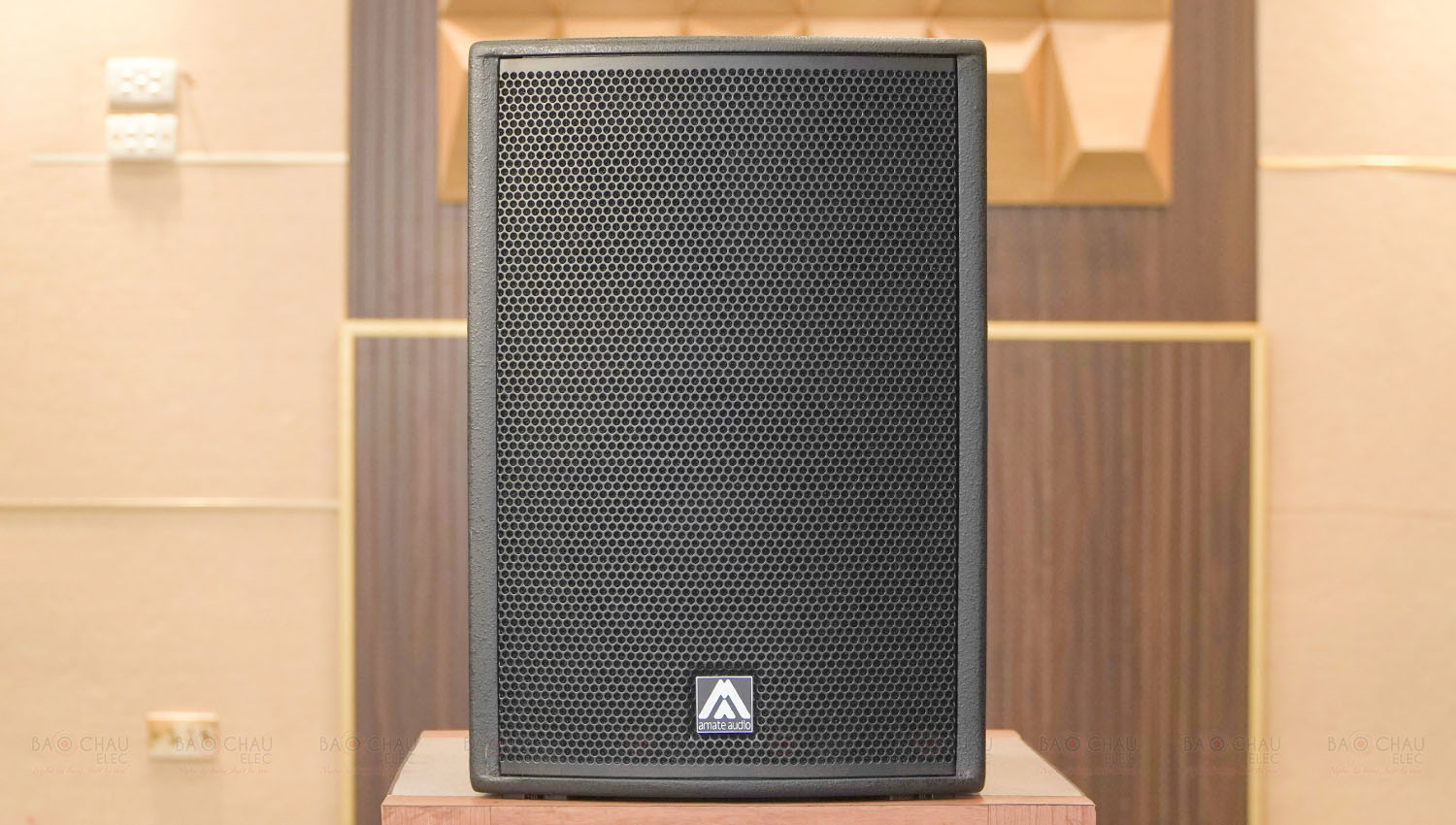 Loa Amate Audio Key 10