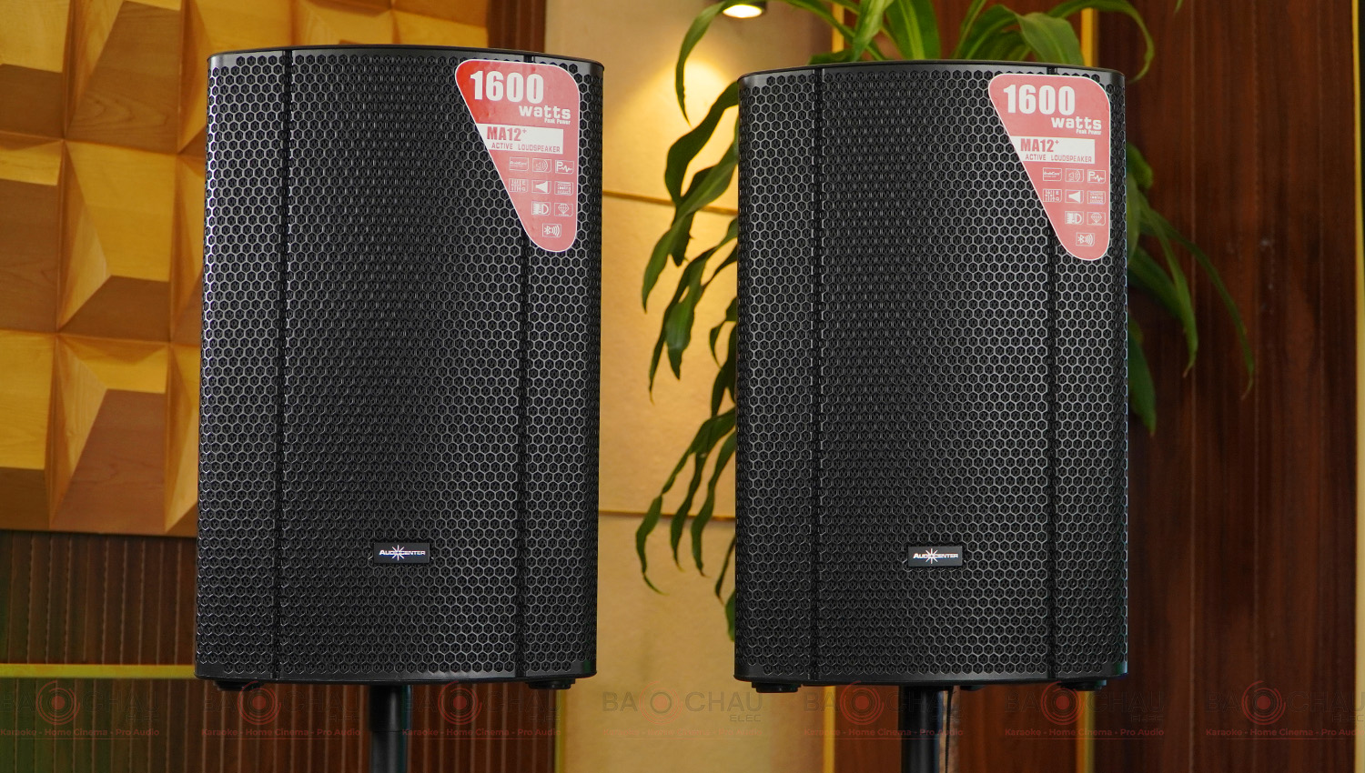 Loa Audiocenter MA12+