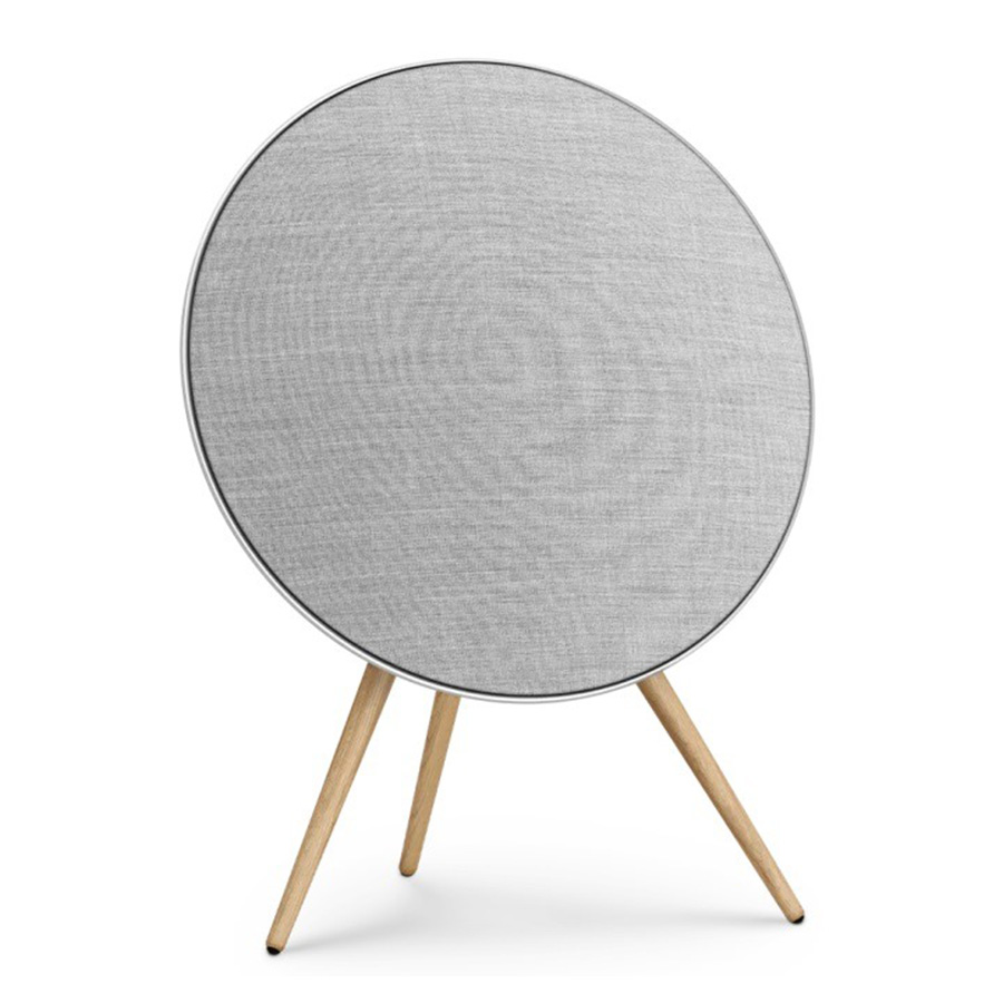 Loa B&O Beosound A9 MK5 Silver-1