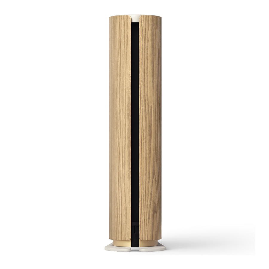 Loa B&O Beosound Emerge-2