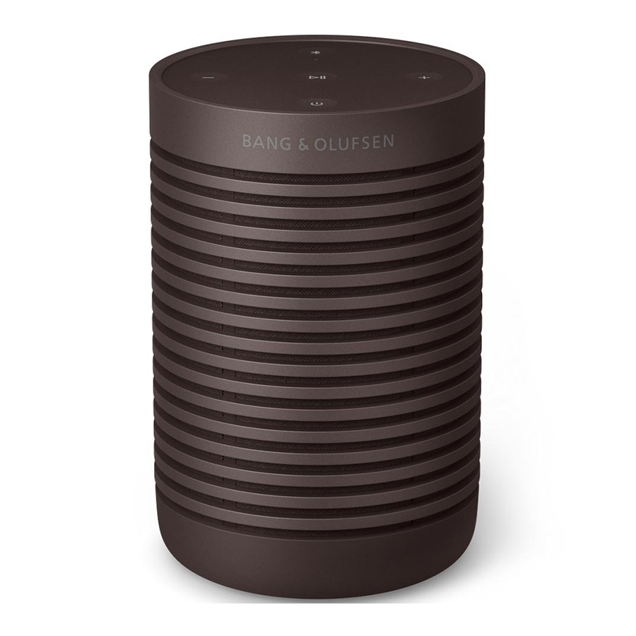 Loa B&O Beosound Explore Chestnut-1