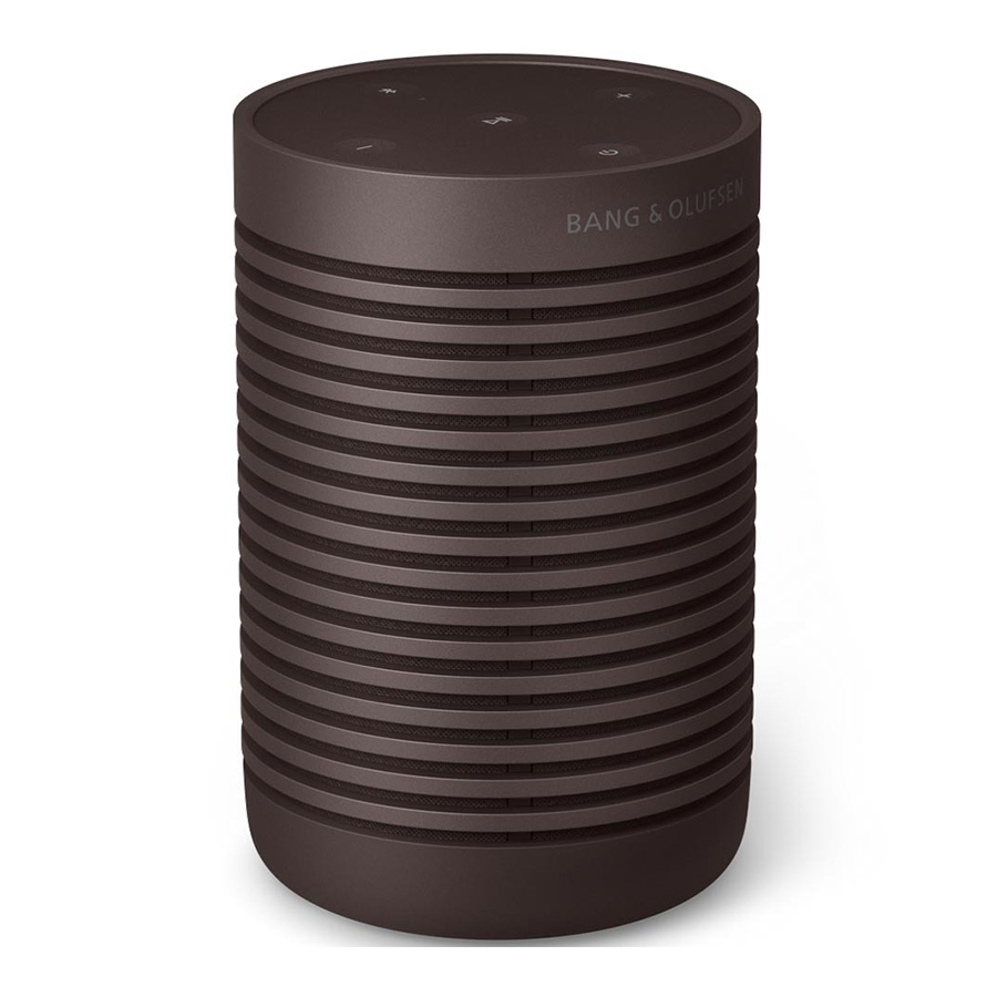 Loa B&O Beosound Explore Chestnut-2