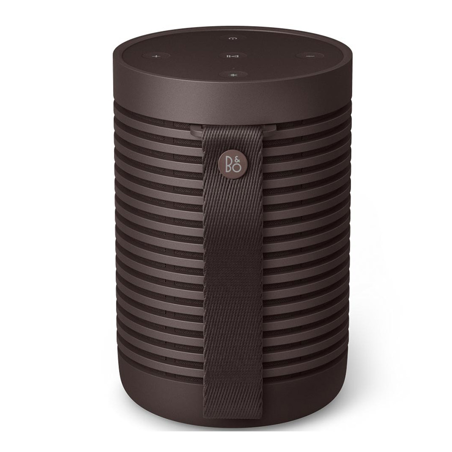 Loa B&O Beosound Explore Chestnut