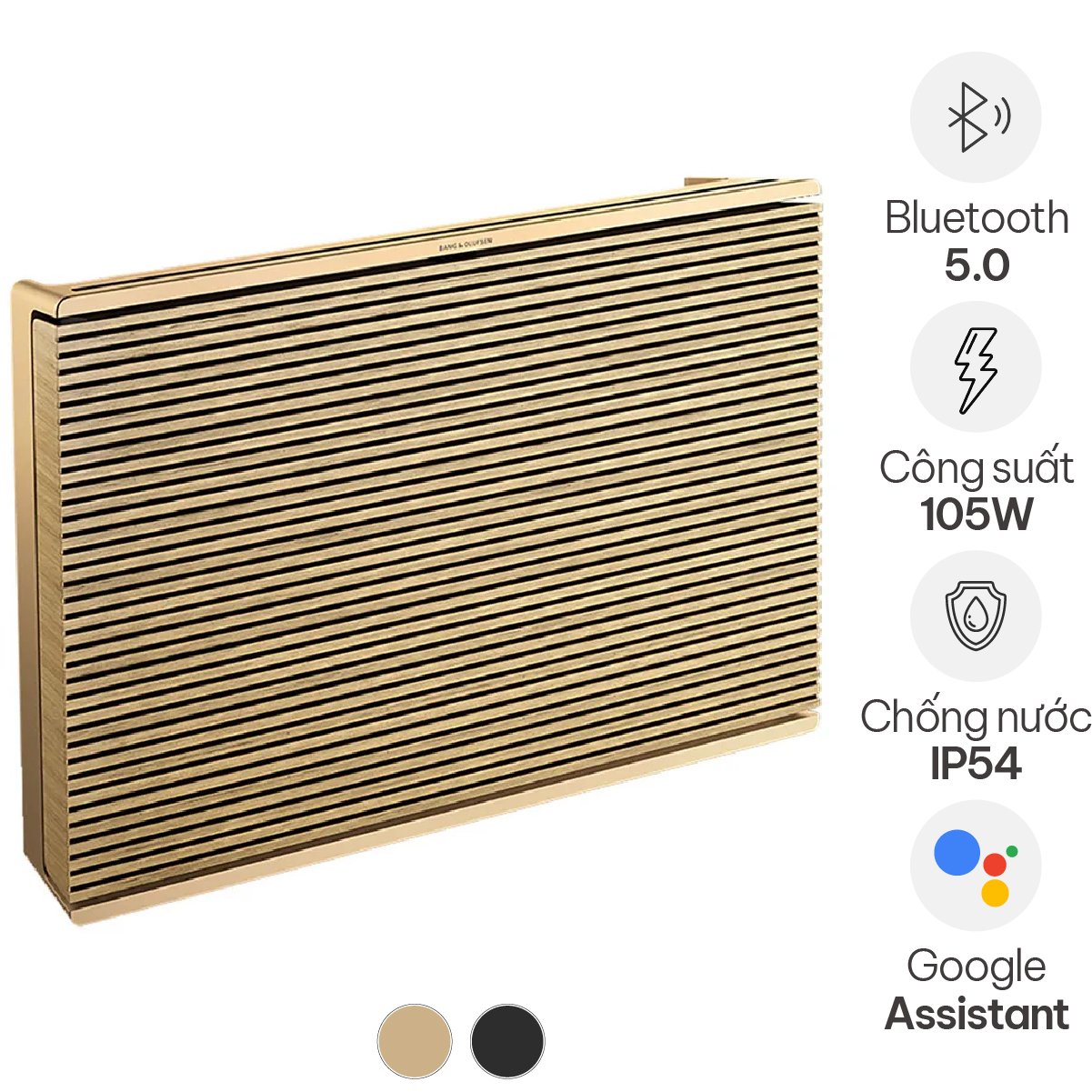 Loa B&O Beosound Level