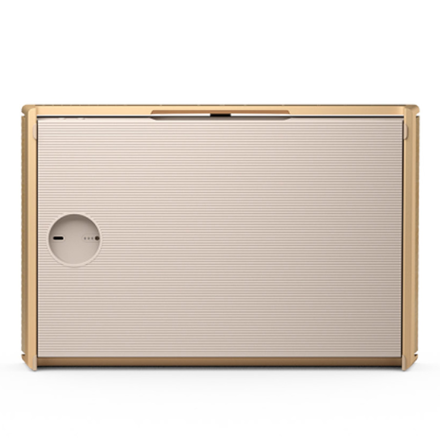 Loa B&O Beosound Level Gold Tone-5