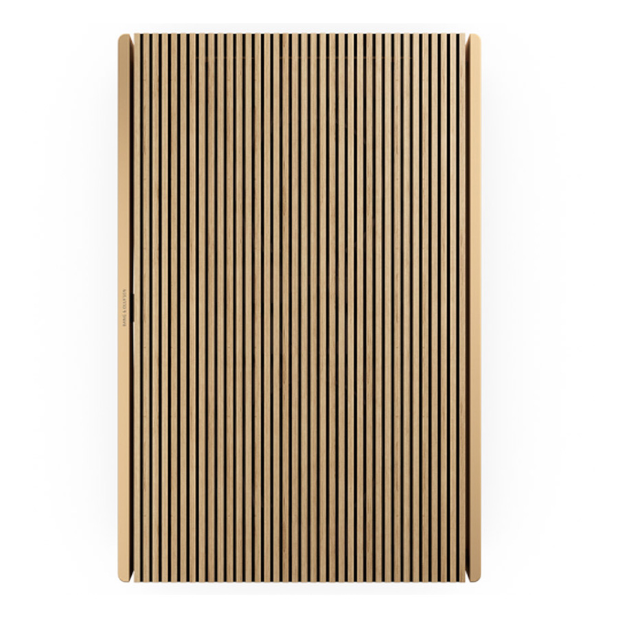 Loa B&O Beosound Level Gold Tone-2