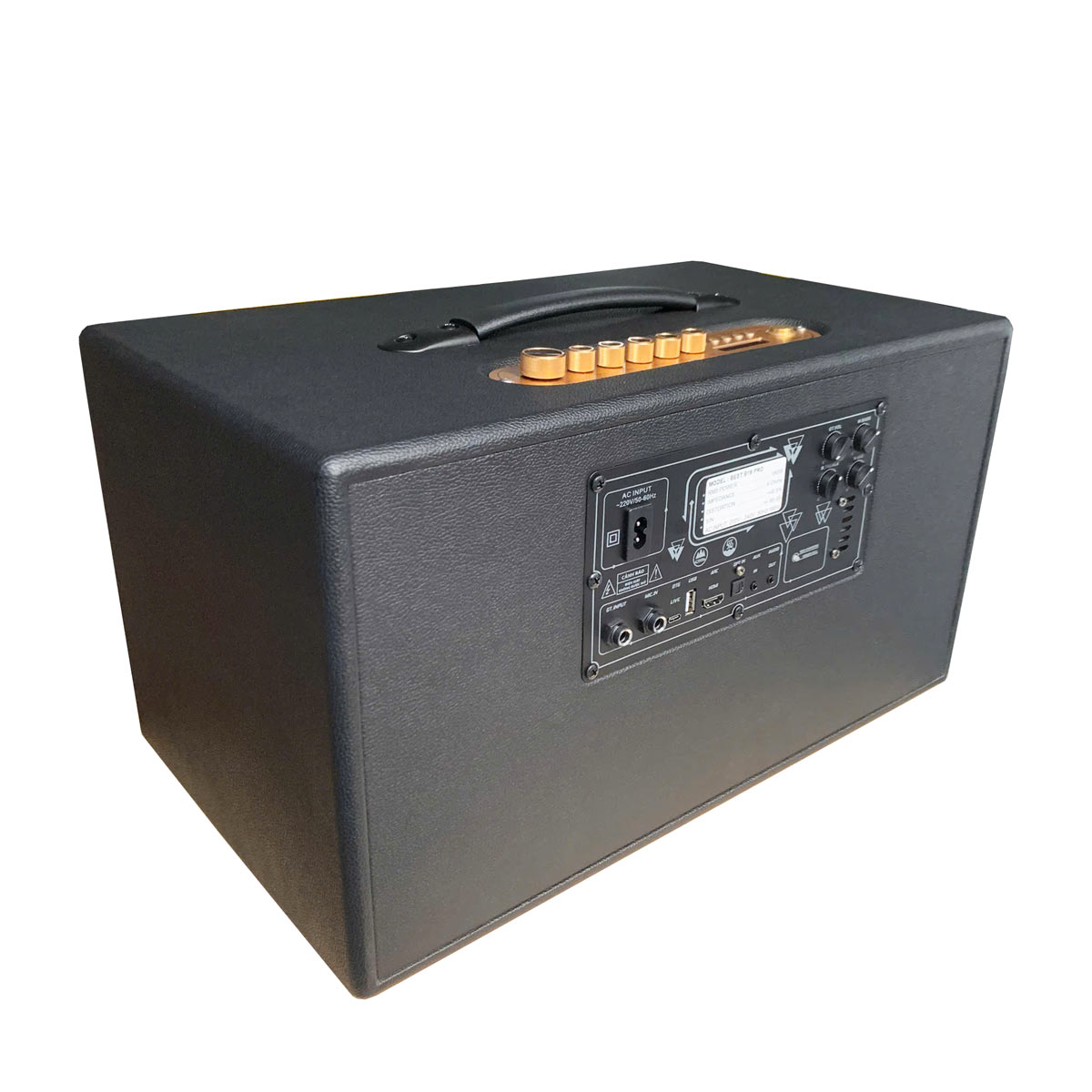 Loa BEST B16 PRO (Bass đôi 8 Inch, 350W, Kèm 2 micro không dây) - Hình 3