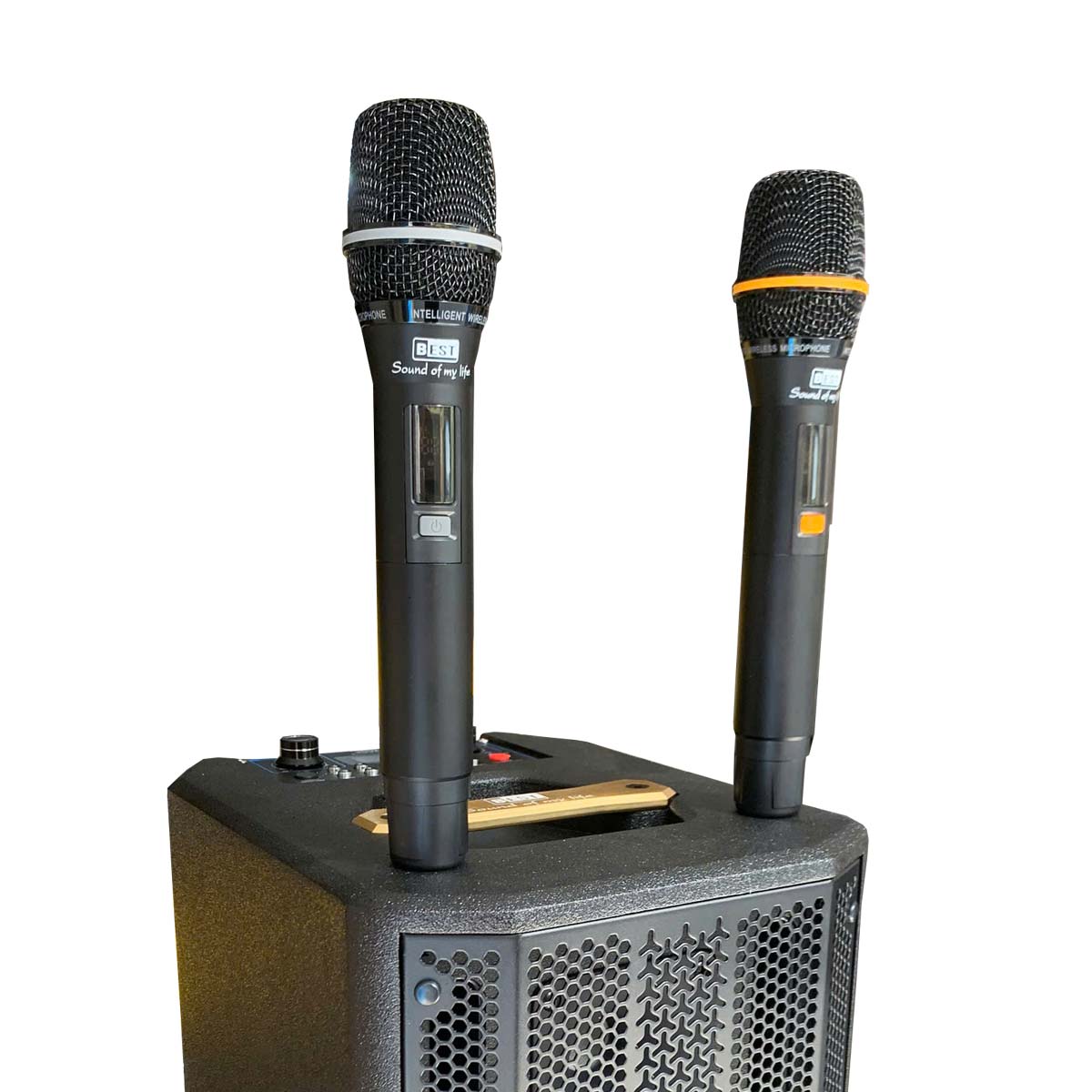 Loa karaoke xách tay BEST M8