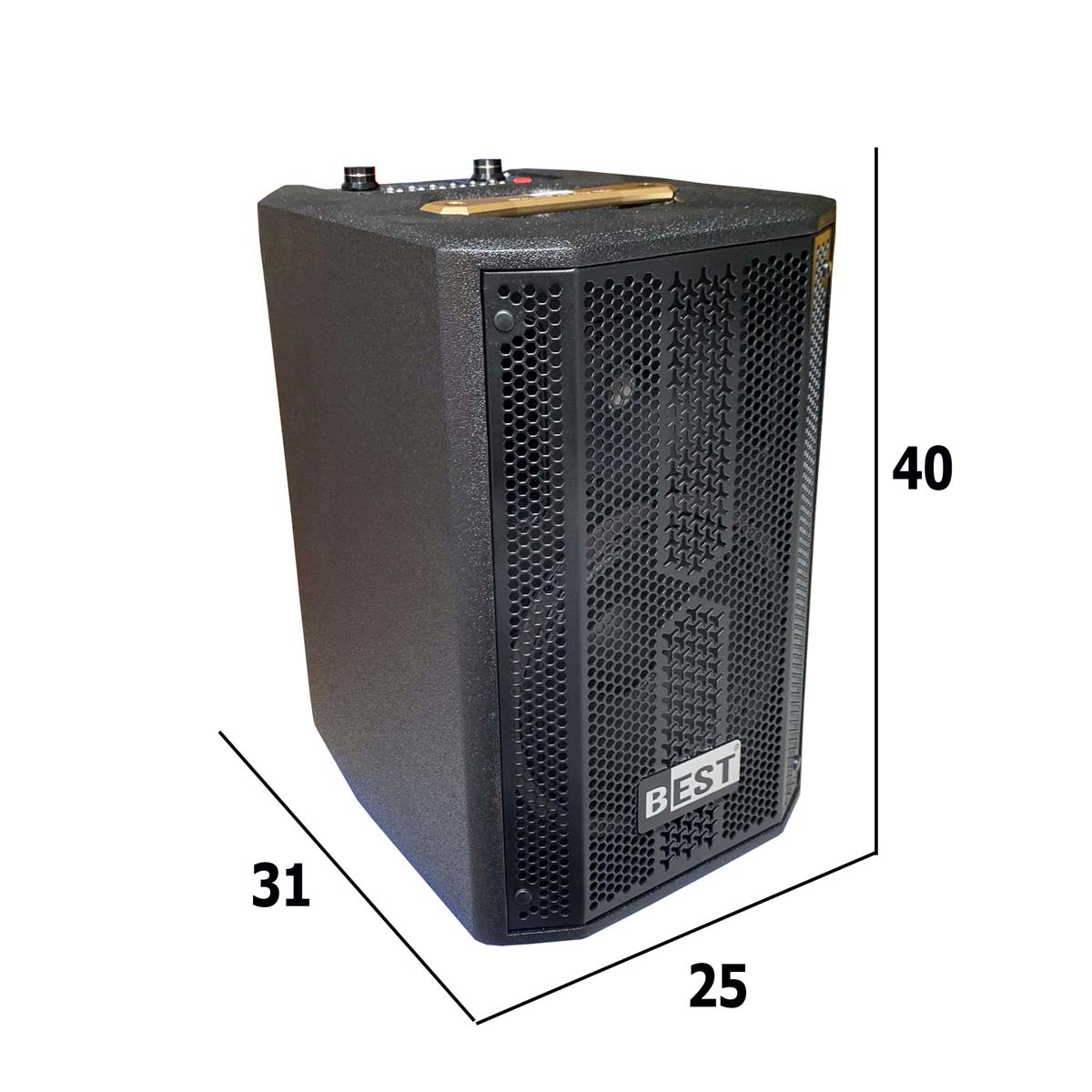 Loa karaoke xách tay BEST M8