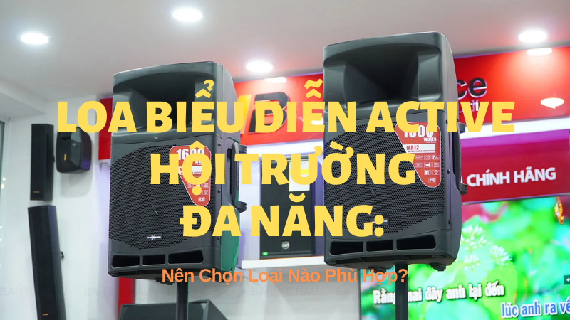 Loa Biểu Diễn Active Hội Trường Đa Năng: Nên Chọn Loại Nào Phù Hợp?