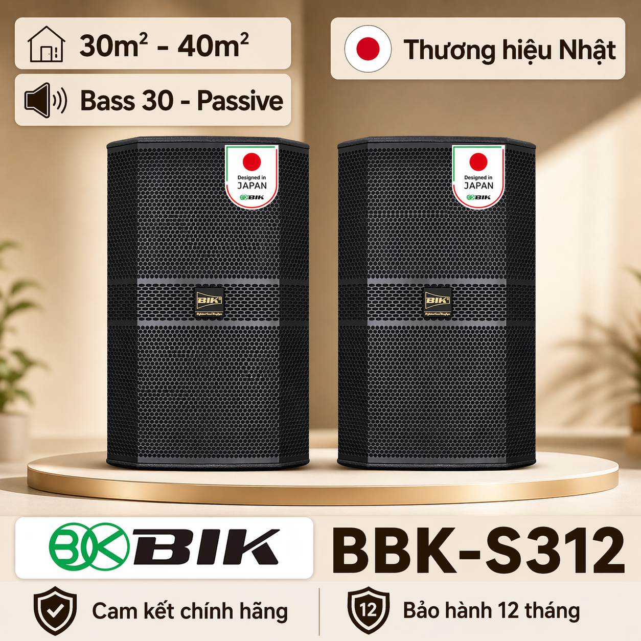 Loa karaoke Nhật BIK BBK-S312 (Bass 30cm, 1120W)