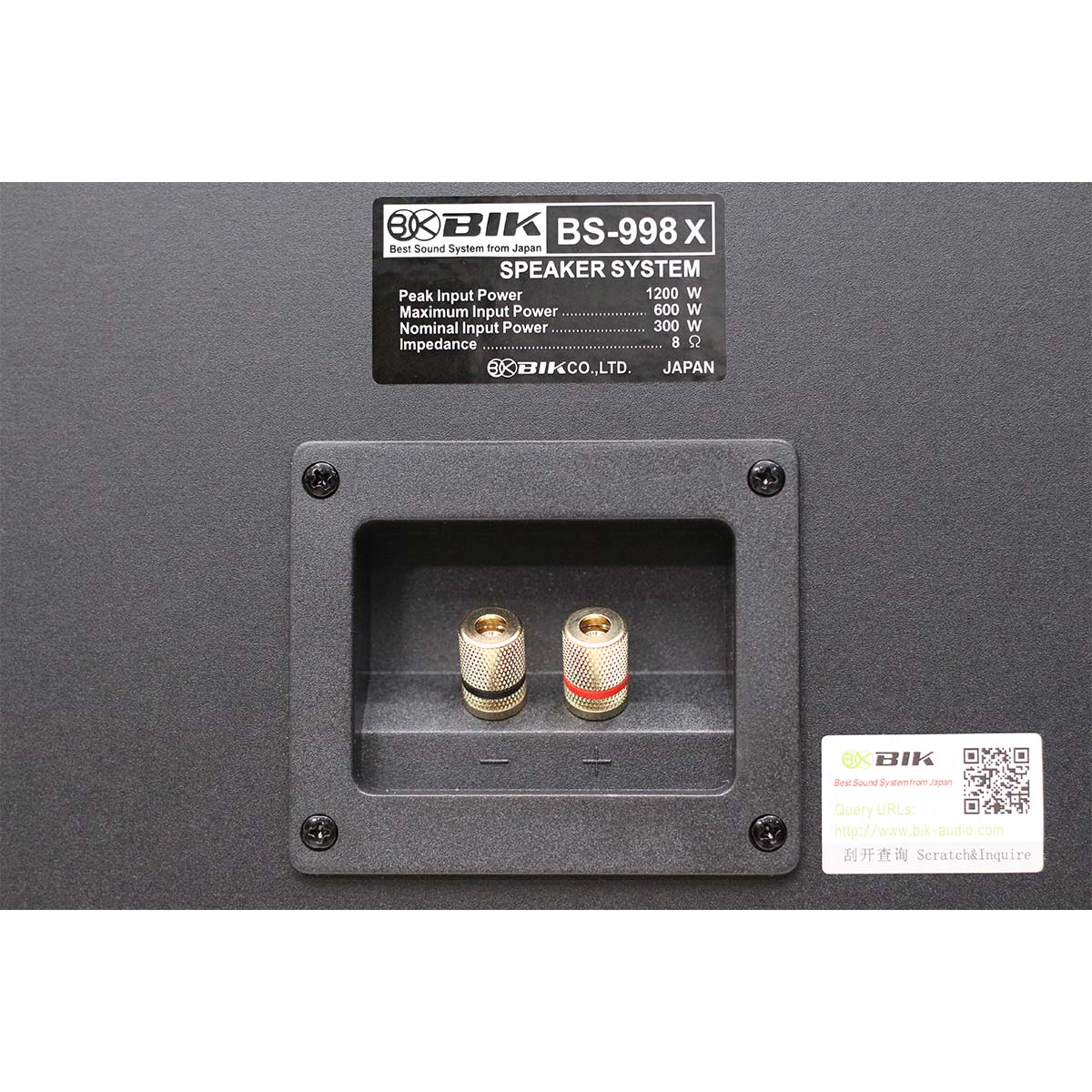 Loa karaoke Nhật BIK BS 998X