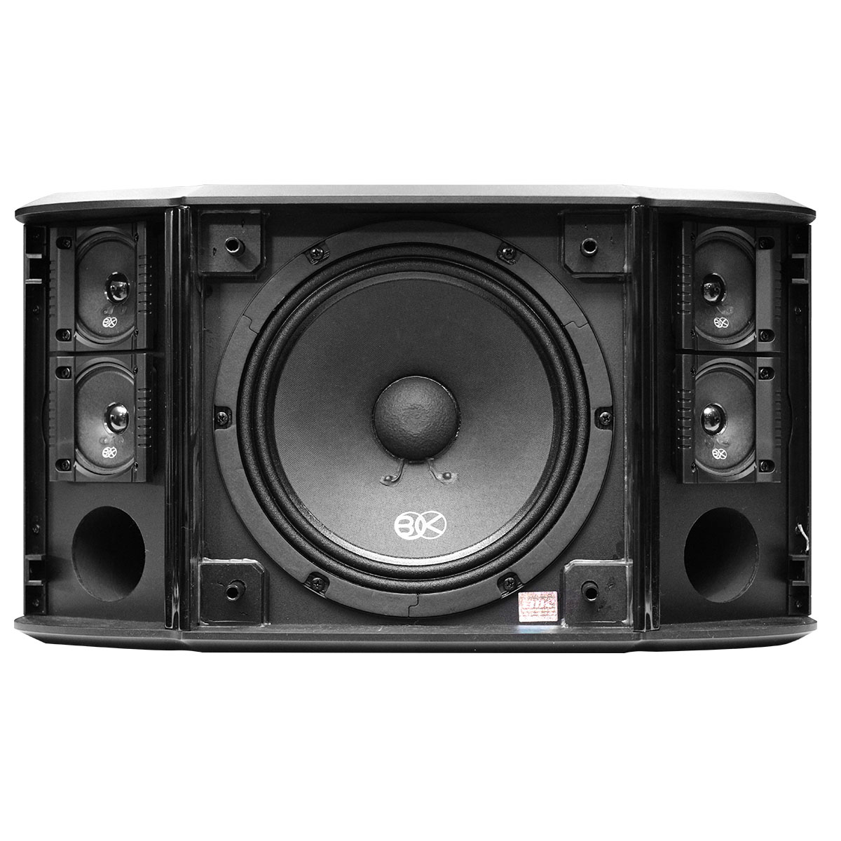 Loa karaoke Nhật BIK BS 998X