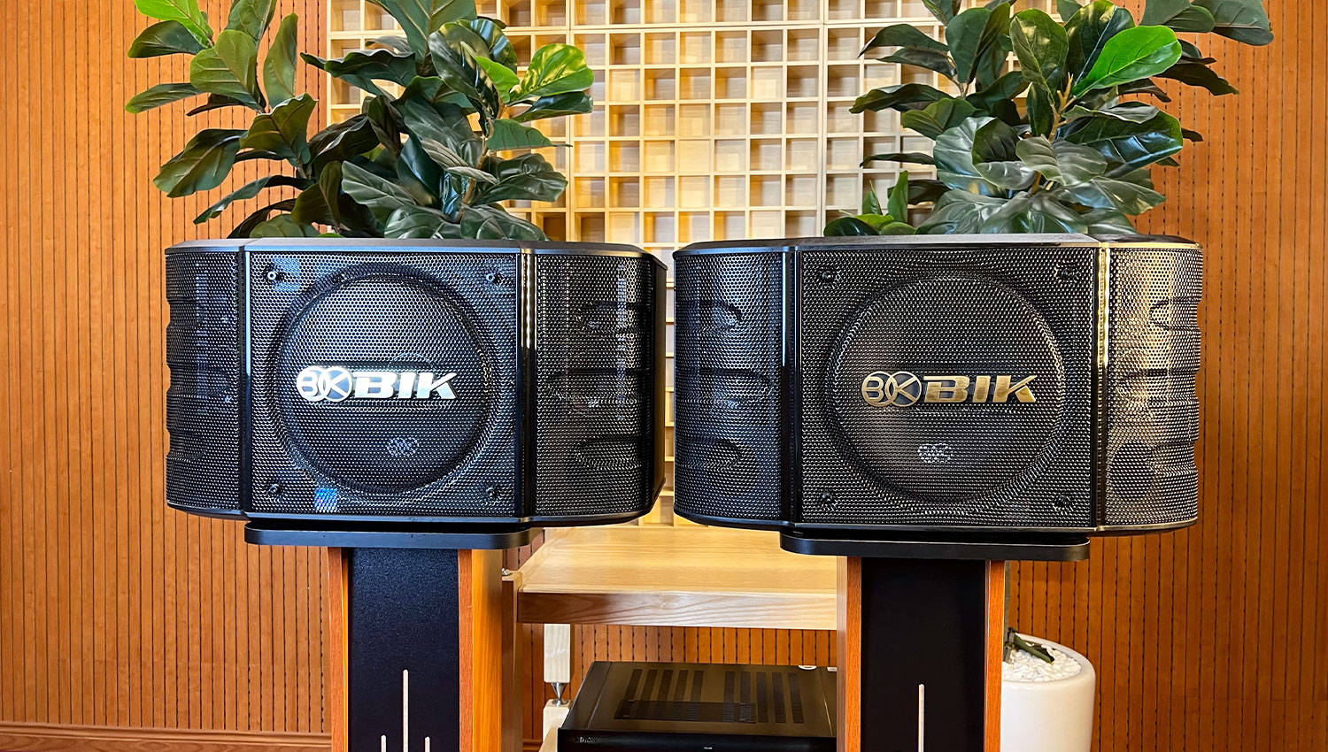 Loa karaoke Nhật BIK BS 998X