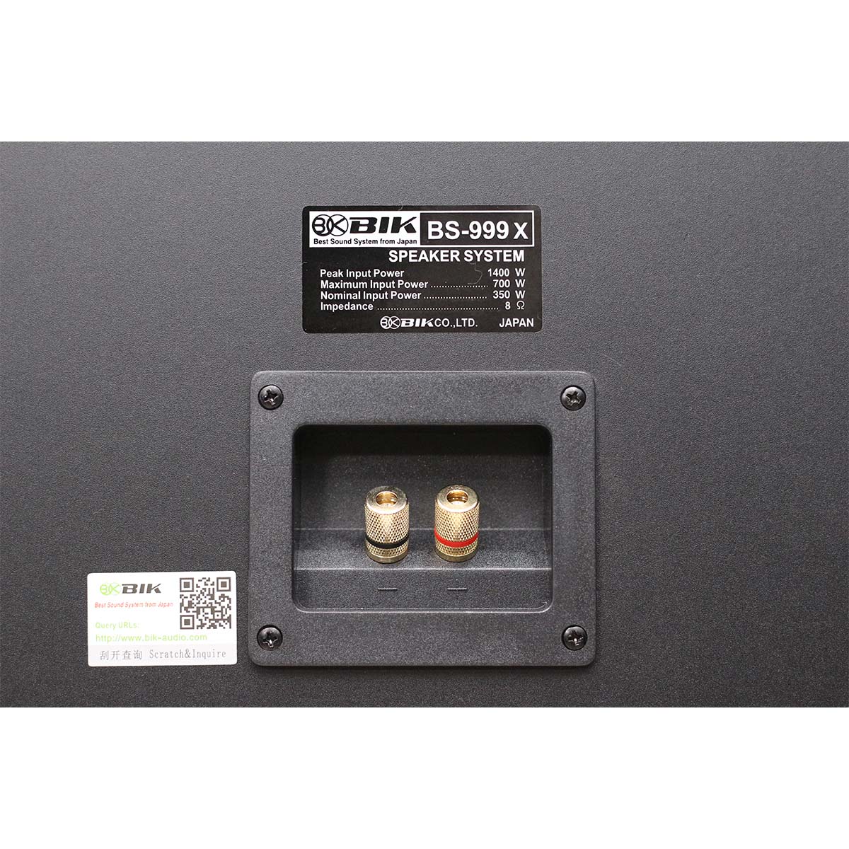 Loa karaoke Nhật BIK BS 999X