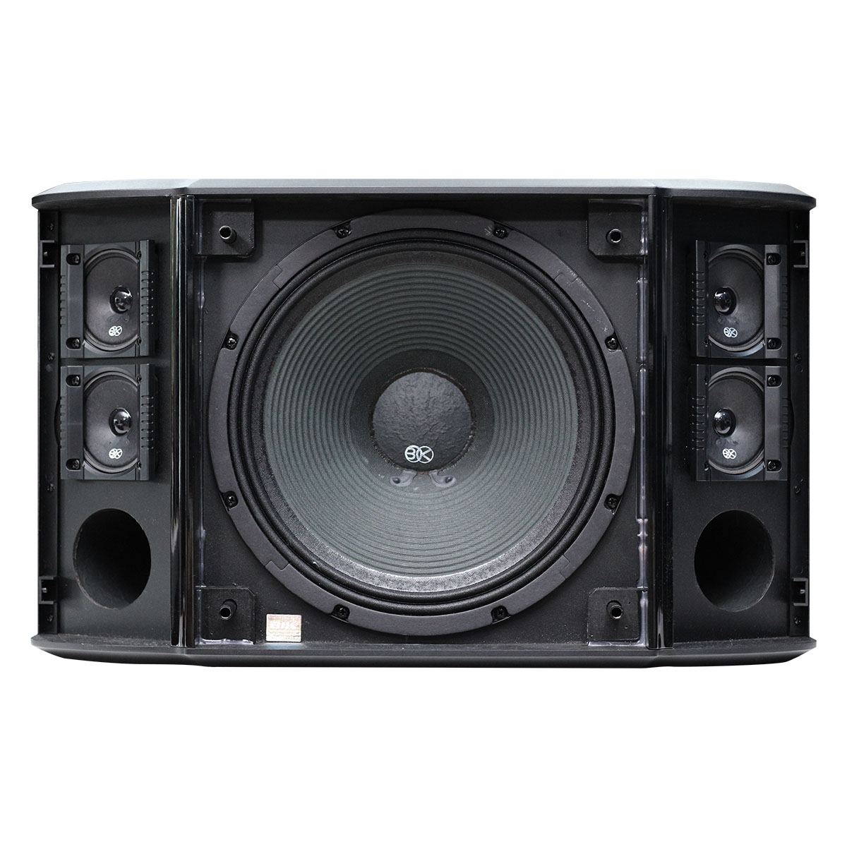 Loa karaoke Nhật BIK BS 999X