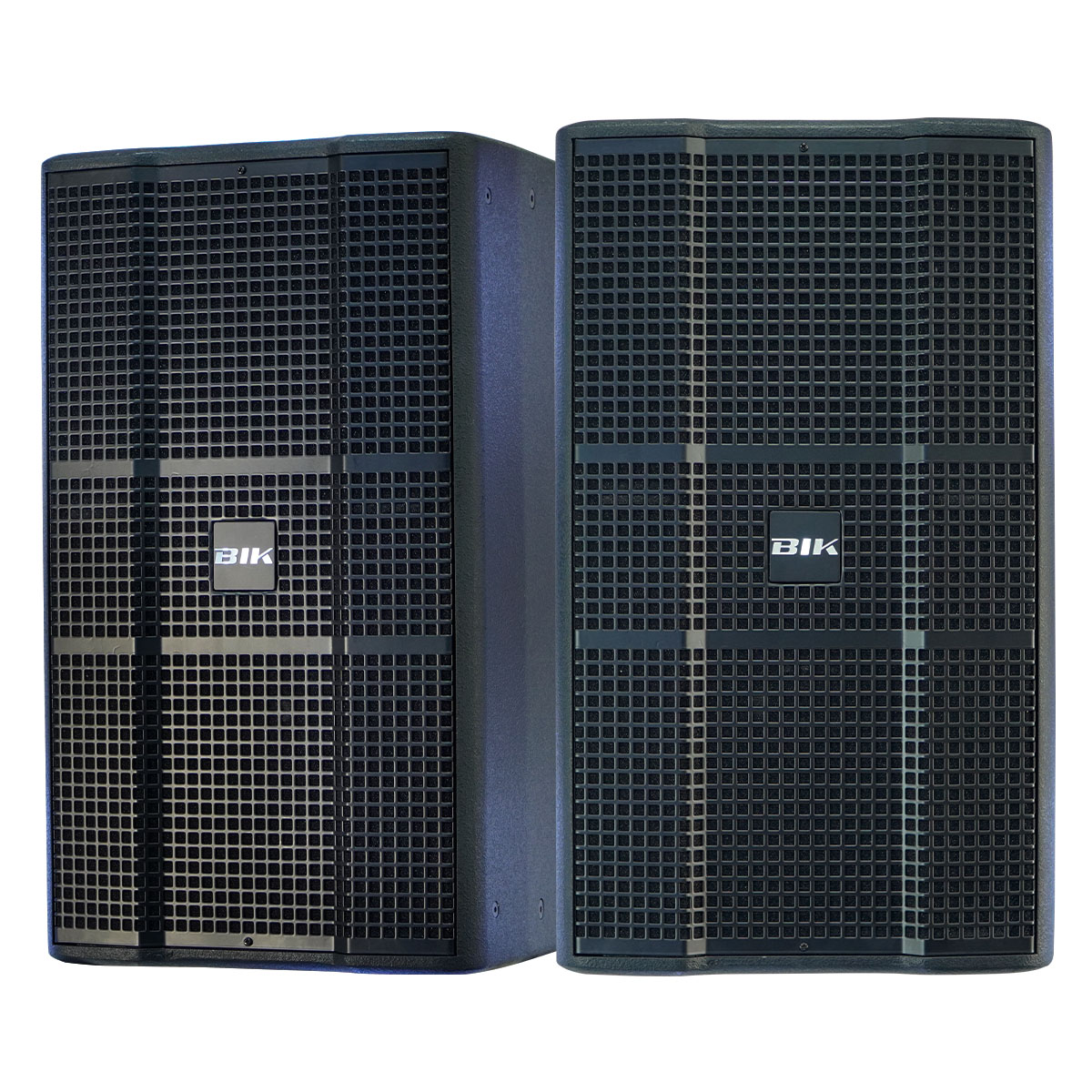 Loa BIK KSP 8012