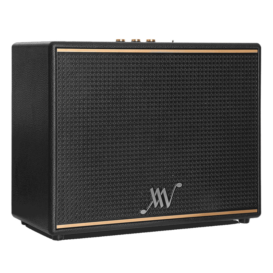 Loa Alpha Works Classic V80 Black-2