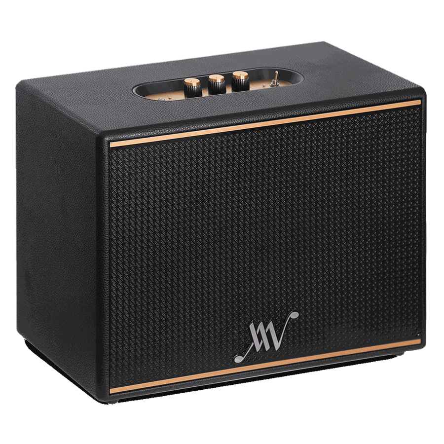 Loa Alpha Works Classic V100 Black